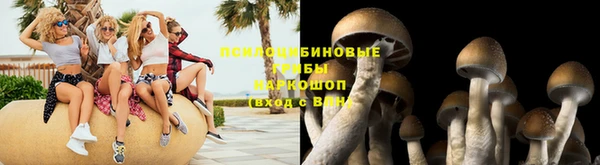 меф Заводоуковск