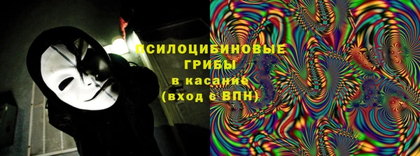 молекула духа Заволжье