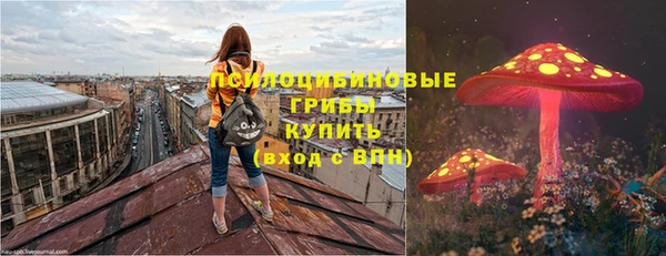 молекула духа Заволжье