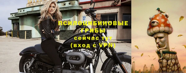 меф Заводоуковск