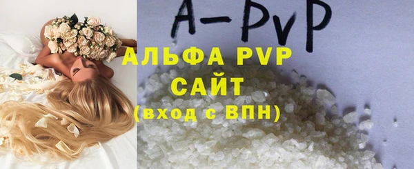 молекула духа Заволжье