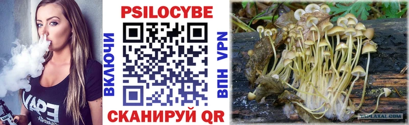 Псилоцибиновые грибы Cubensis  Купить  Чекалин 